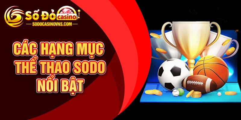 Các Hạng Mục Thể Thao SODO Nổi Bật