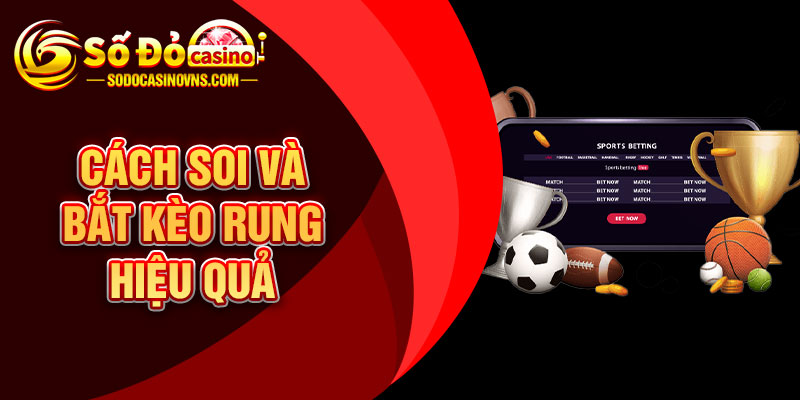Cách Soi Và Bắt Kèo Rung Hiệu Quả