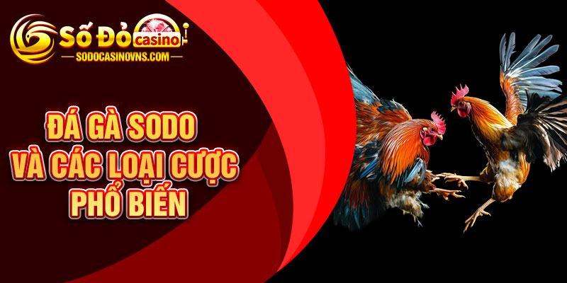 Đá Gà SODO Và Các Loại Cược Phổ Biến