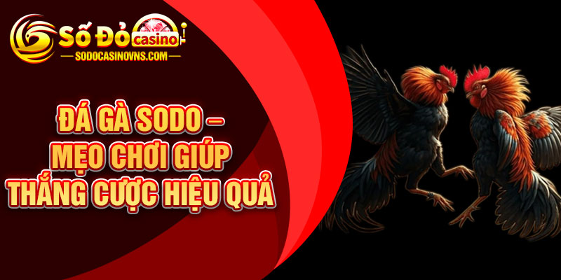 Đá Gà SODO – Mẹo Chơi Giúp Thắng Cược Hiệu Quả