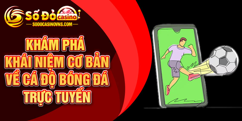 Khám Phá Khái Niệm Cơ Bản Về Cá Độ Bóng Đá Trực Tuyến