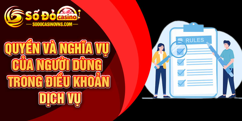 Quyền và nghĩa vụ của người dùng trong điều khoản dịch vụ