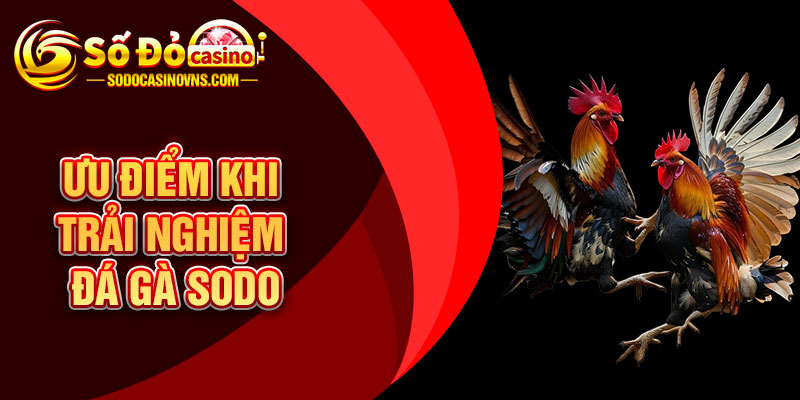 Ưu Điểm Khi Trải Nghiệm Đá Gà SODO