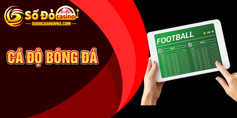 Cá Độ Bóng Đá